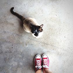 Low section of woman standing on tiled floor