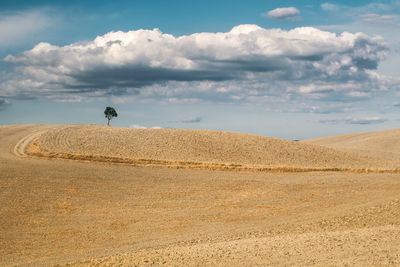 Scenic view of field against sky