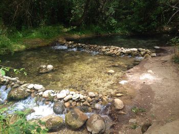 Rocks in river stream