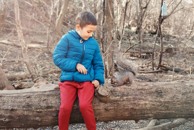 Caucasian boy feeding grey squirrel in park. kid giving food nuts to wild animal in forest