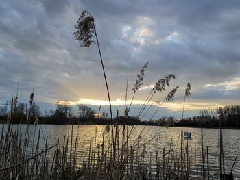 Scenic view of lake against sky during sunset