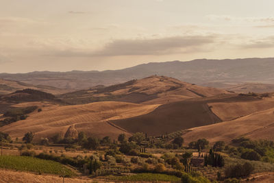 Scenic view of landscape and mountains against sky