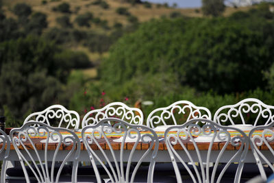 Close-up of food on railing against trees