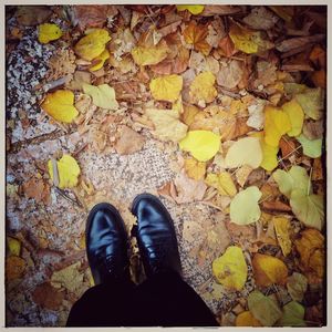 Low section of man standing on fallen leaves