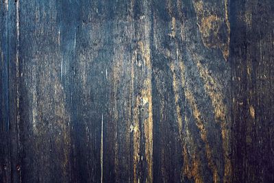 Full frame shot of wooden plank