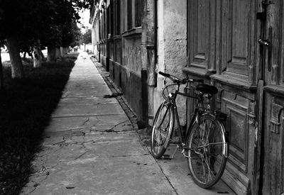Bicycle in city