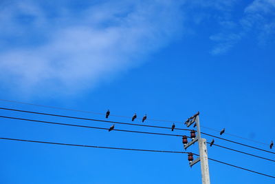 Low angle view of birds perching on cable