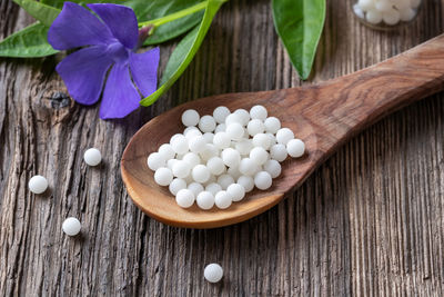 High angle view of white flowers on table