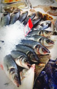 Fish for sale at market stall