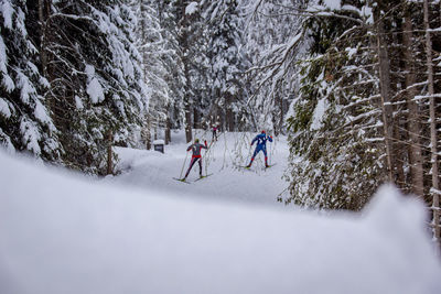 People on snow covered trees during winter