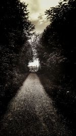 Empty road amidst trees in forest against sky