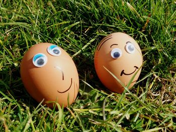 Close-up of easter eggs on grass