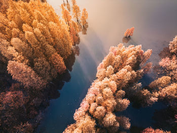 Scenic view of lake