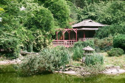 Plants and trees by lake against house in forest