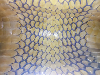 Full frame shot of pattern