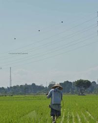 Rear view of farmer spraying fertilizer in field against clear sky