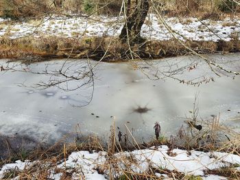 Scenic view of lake during winter