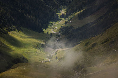 Scenic view of waterfall