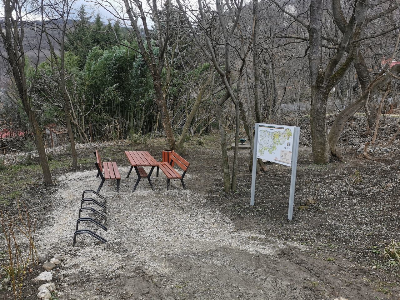 VIEW OF EMPTY CHAIRS AND PLANTS IN THE FIELD