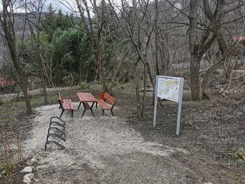 View of empty chairs in park