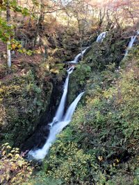 Stream flowing through rocks in forest