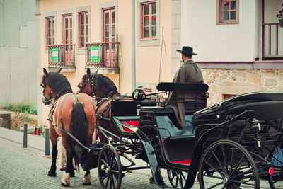 Horse cart in city