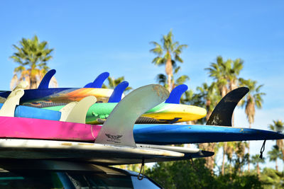 Surfboards stacked on car roof in tropical baja, mexico