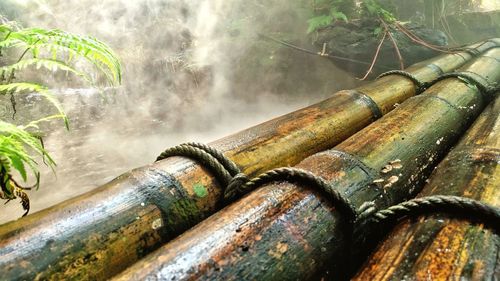 Close-up of rusty pipe