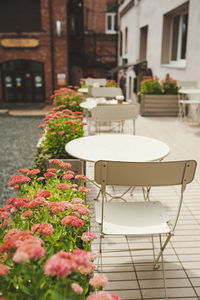 Flower pot on table in cafe by building