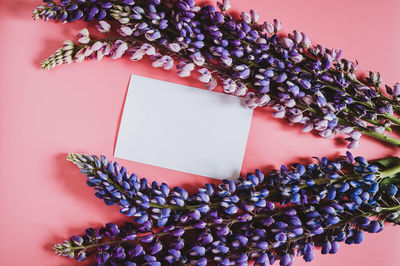 High angle view of purple flowers on table