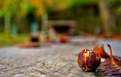 Close-up of dried fruits on table