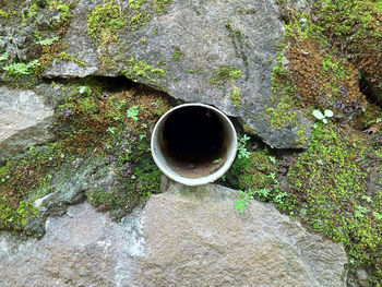 High angle view of drink on rock