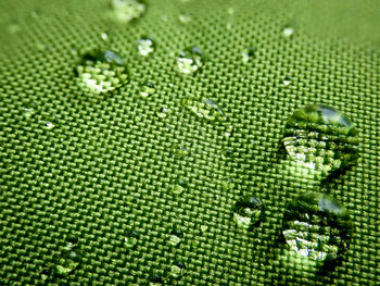 Full frame shot of water drops on green leaf