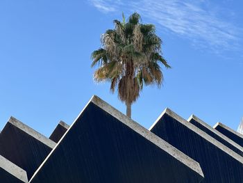 Low angle view of palm tree against clear sky