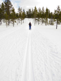 Rear view of person skiing on snow