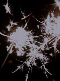 Close-up of illuminated firework display at night