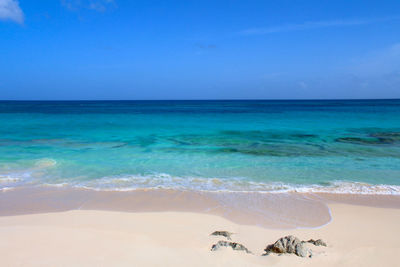 Scenic view of sea against clear blue sky