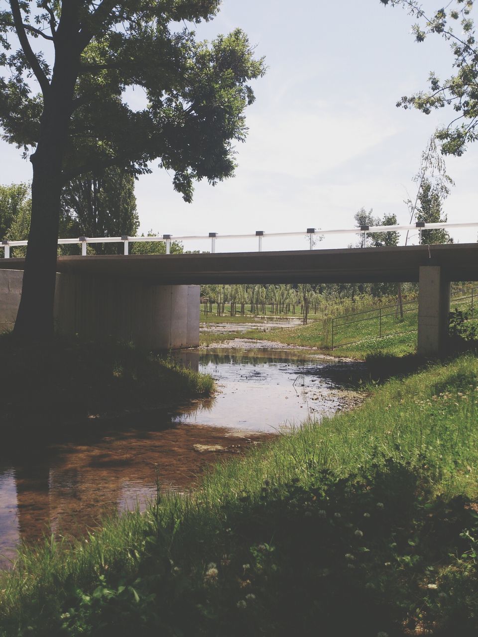 water, tree, grass, river, bridge - man made structure, built structure, sky, architecture, connection, nature, tranquility, tranquil scene, lake, plant, growth, day, railing, reflection, no people, beauty in nature