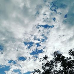 Low angle view of trees against cloudy sky