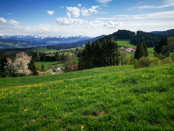 Scenic view of landscape against sky