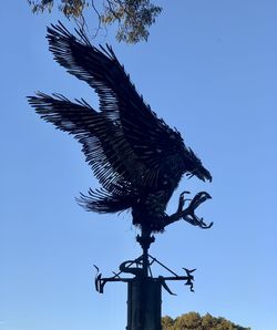 Low angle view of a bird