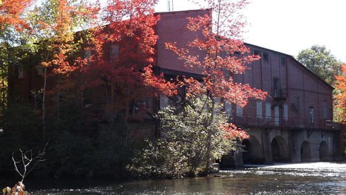 Buildings in city