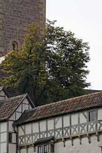 Low angle view of tree and building against sky