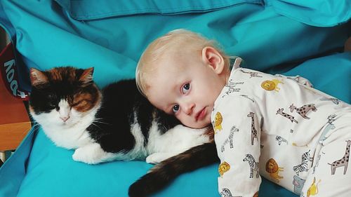 Portrait of cat