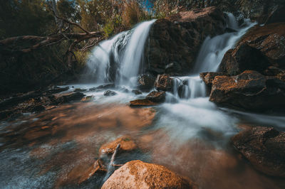 View of waterfall in forest