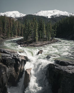 Scenic view of waterfall in forest during winter