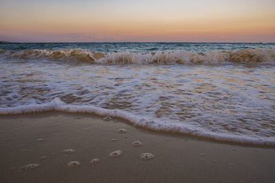 Scenic view of beach during sunset