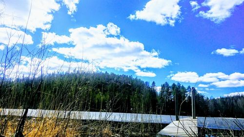 Scenic view of trees against sky