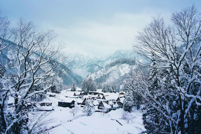 Snow covered plants and trees against sky