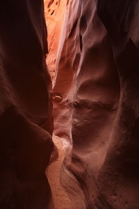 Rock formations in a desert